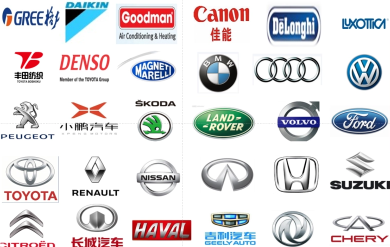 cultivo_1736130071766