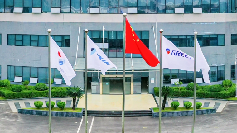 Mercado de exportación de moho de China: oportunidades y desafíos